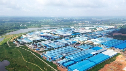 浦北縣泉水鎮:技術創新添活力 構筑發展新優勢