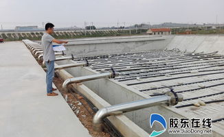 萊陽市食品工業園污水處理廠二期工程正式啟用，為綠色發展與產業升級注入新動力