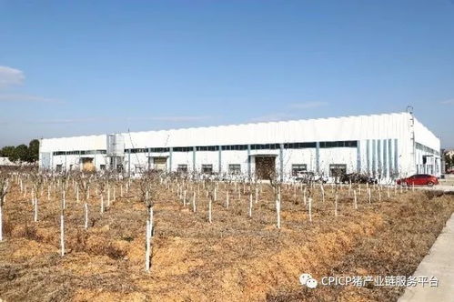 江西標桿農牧企業見聞之博萊集團 現代化工業園里的農業新圖景